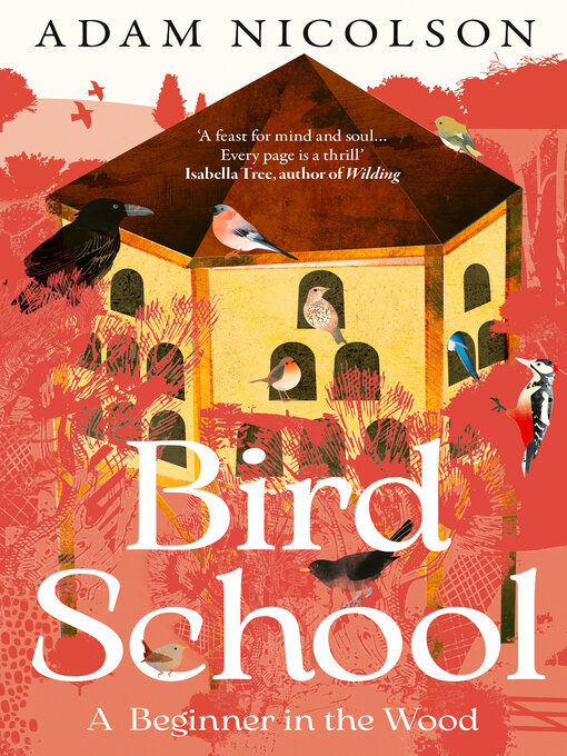 Cover image for Bird School